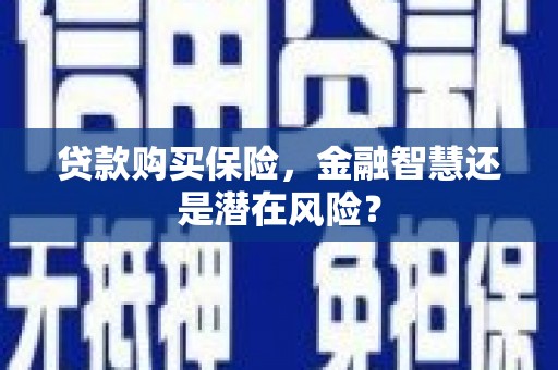 江源贷款购买保险，金融智慧还是潜在风险？
