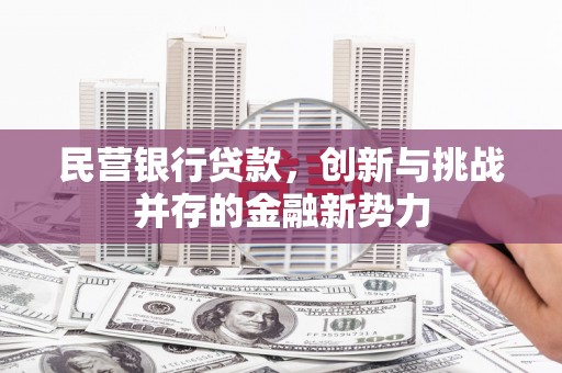 江源民营银行贷款，创新与挑战并存的金融新势力