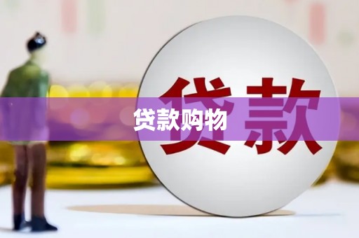 江源贷款购物