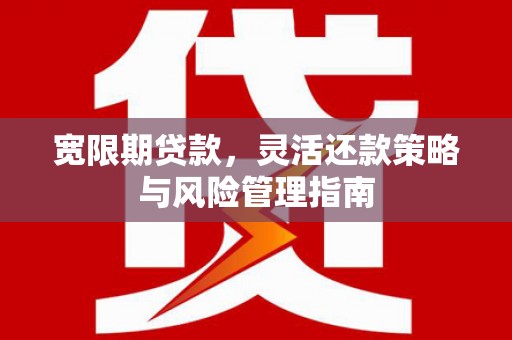 江源宽限期贷款，灵活还款策略与风险管理指南