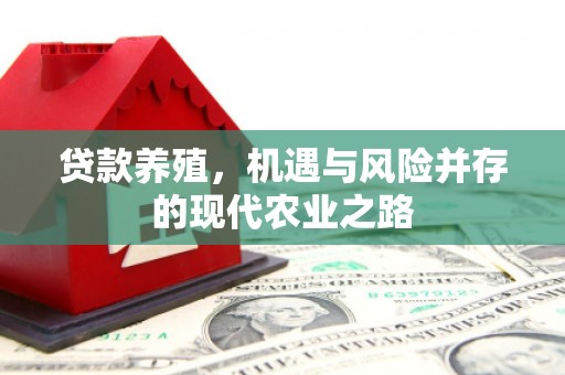 江源贷款养殖，机遇与风险并存的现代农业之路