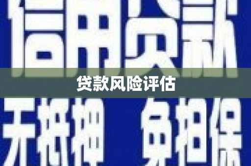 江源贷款风险评估