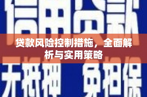 江源贷款风险控制措施，全面解析与实用策略