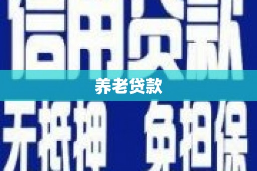 江源养老贷款