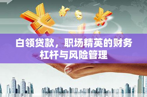 江源白领贷款，职场精英的财务杠杆与风险管理