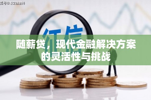 江源随薪贷，现代金融解决方案的灵活性与挑战