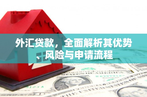 江源外汇贷款，全面解析其优势、风险与申请流程