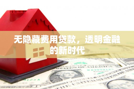 江源无隐藏费用贷款，透明金融的新时代