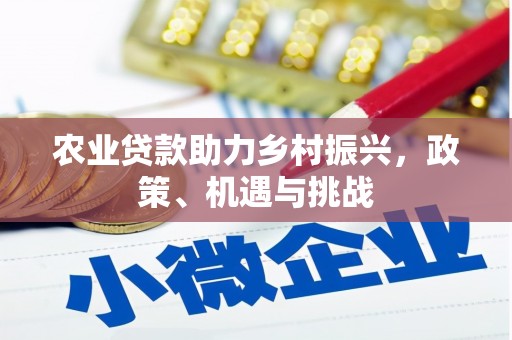 江源农业贷款助力乡村振兴，政策、机遇与挑战