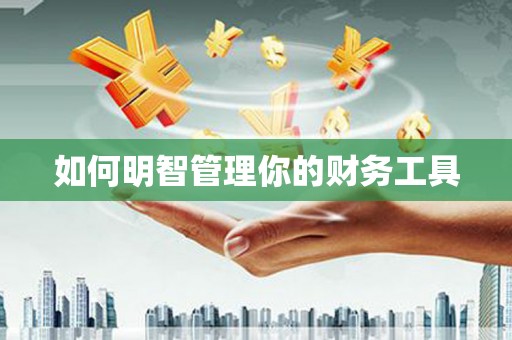 江源如何明智管理你的财务工具