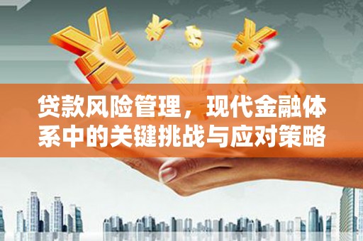江源贷款风险管理，现代金融体系中的关键挑战与应对策略