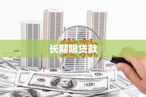 江源长期限贷款
