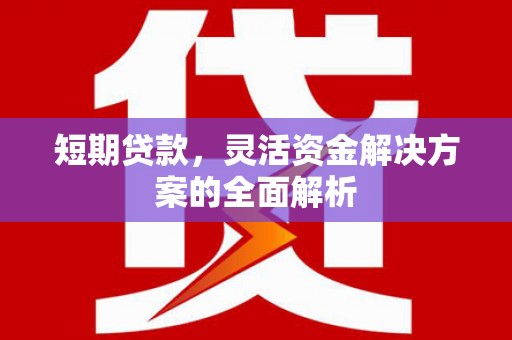 江源短期贷款，灵活资金解决方案的全面解析