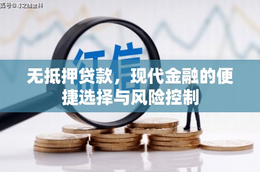 江源无抵押贷款，现代金融的便捷选择与风险控制