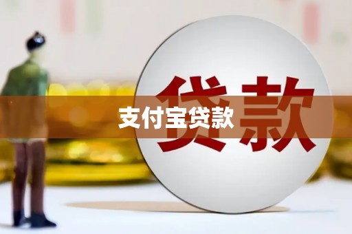 江源支付宝贷款
