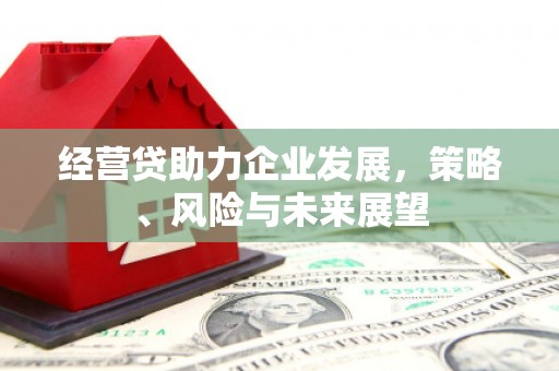 江源经营贷助力企业发展，策略、风险与未来展望