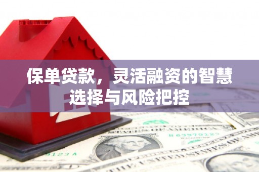 江源保单贷款，灵活融资的智慧选择与风险把控