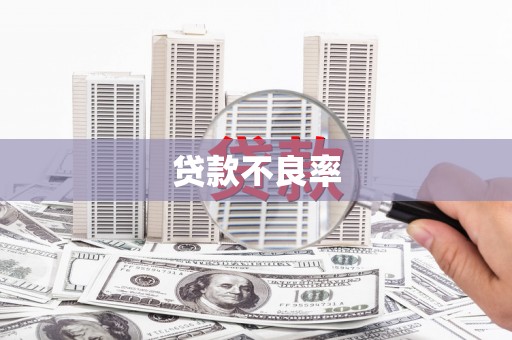 江源贷款不良率