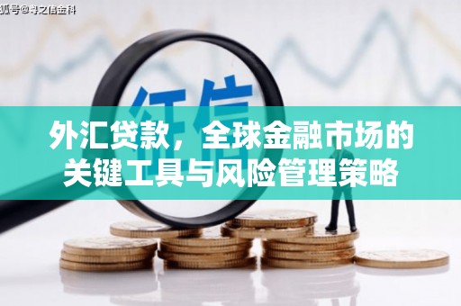 江源外汇贷款，全球金融市场的关键工具与风险管理策略