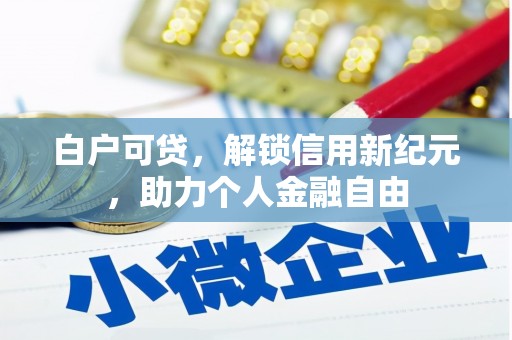 江源白户可贷，解锁信用新纪元，助力个人金融自由