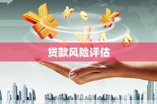 江源贷款风险评估