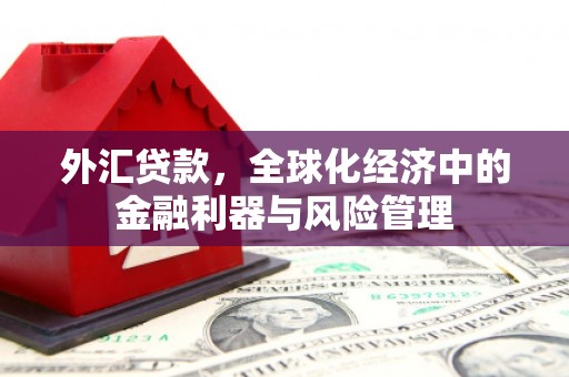 江源外汇贷款，全球化经济中的金融利器与风险管理