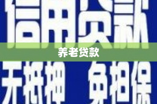 江源养老贷款