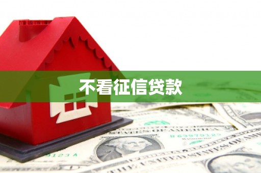 江源不看征信贷款