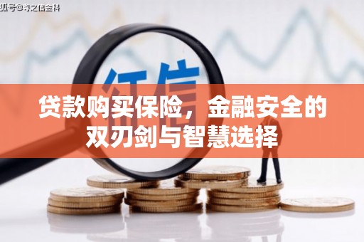 江源贷款购买保险，金融安全的双刃剑与智慧选择
