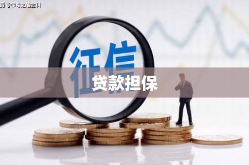 江源贷款担保