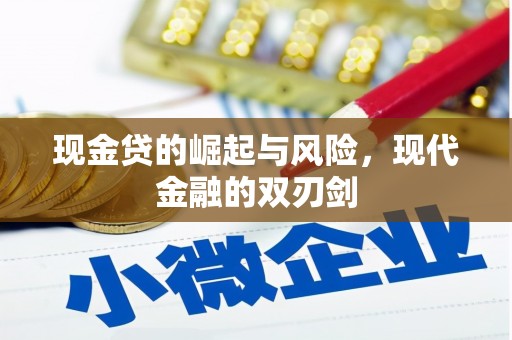江源现金贷的崛起与风险，现代金融的双刃剑