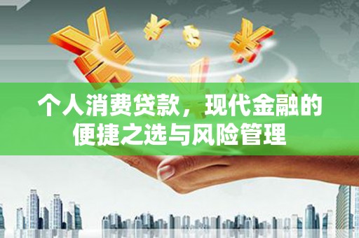 江源个人消费贷款，现代金融的便捷之选与风险管理