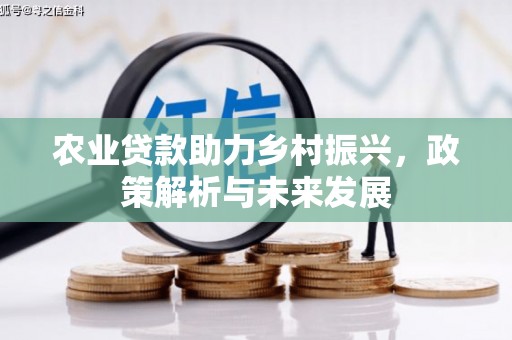 江源农业贷款助力乡村振兴，政策解析与未来发展