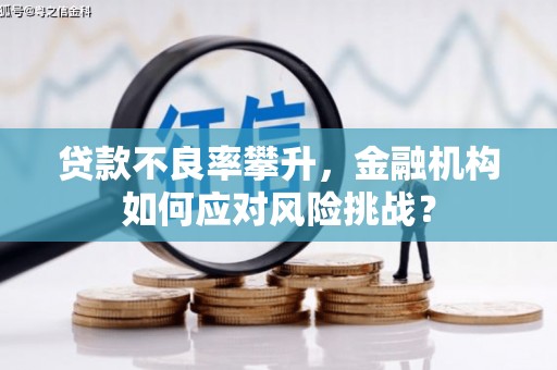 江源贷款不良率攀升，金融机构如何应对风险挑战？