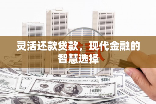 江源灵活还款贷款，现代金融的智慧选择