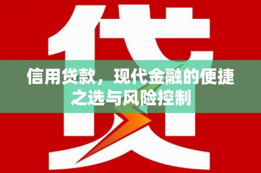 江源信用贷款，现代金融的便捷之选与风险控制