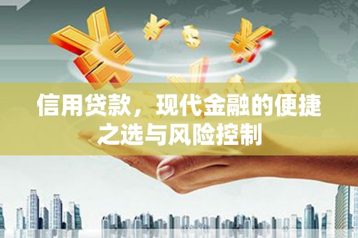 江源信用贷款，现代金融的便捷之选与风险控制