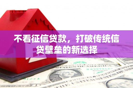 江源不看征信贷款，打破传统信贷壁垒的新选择
