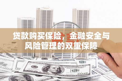 江源贷款购买保险，金融安全与风险管理的双重保障