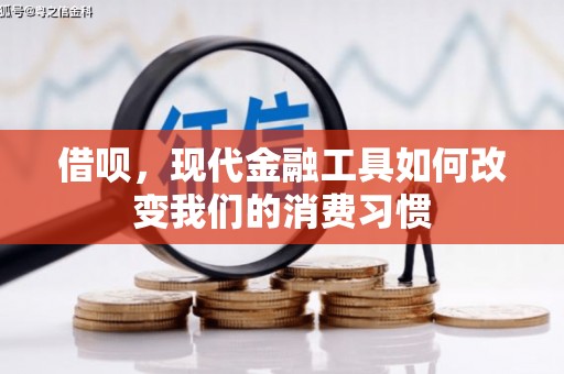 江源借呗，现代金融工具如何改变我们的消费习惯