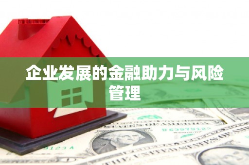 江源企业发展的金融助力与风险管理