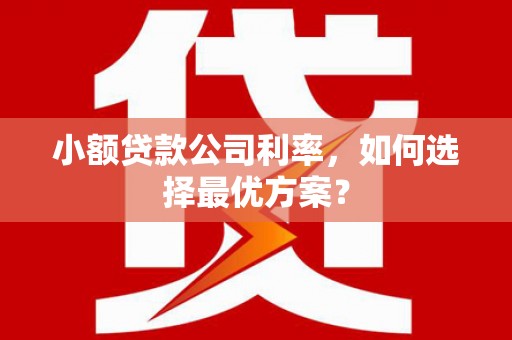 江源小额贷款公司利率，如何选择最优方案？