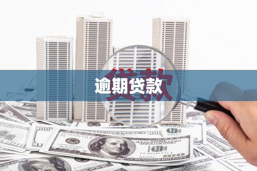 江源逾期贷款