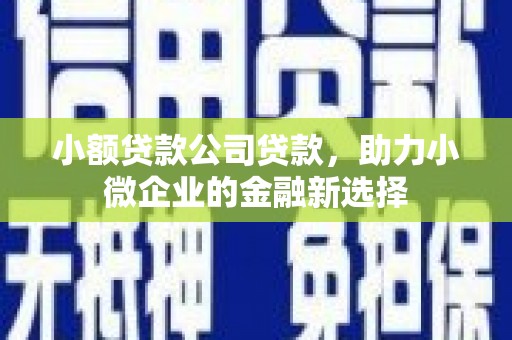 江源小额贷款公司贷款，助力小微企业的金融新选择