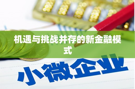 江源机遇与挑战并存的新金融模式