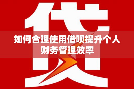 江源如何合理使用借呗提升个人财务管理效率