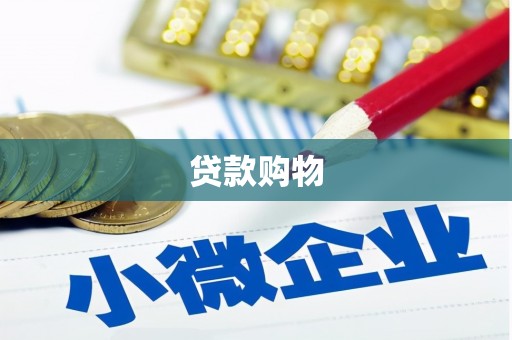 江源贷款购物