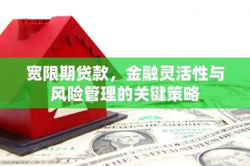 江源宽限期贷款，金融灵活性与风险管理的关键策略