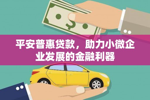 江源平安普惠贷款，助力小微企业发展的金融利器