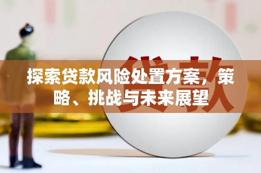 江源探索贷款风险处置方案，策略、挑战与未来展望